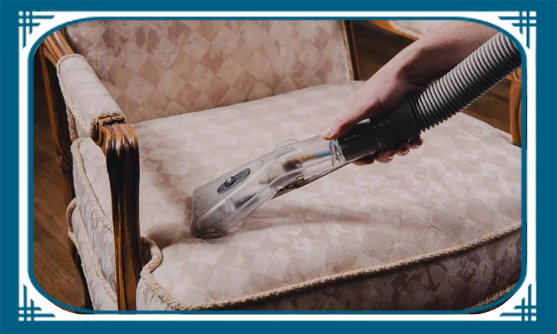 Professional Area Rug Cleaning